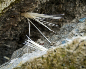 Rupture of fiberglass reinforcement during concrete destruction